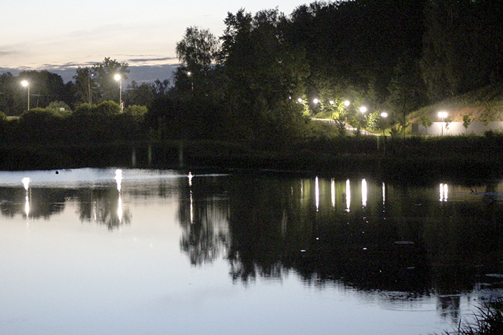 Фото В.Кузьмин (июль, 2025)