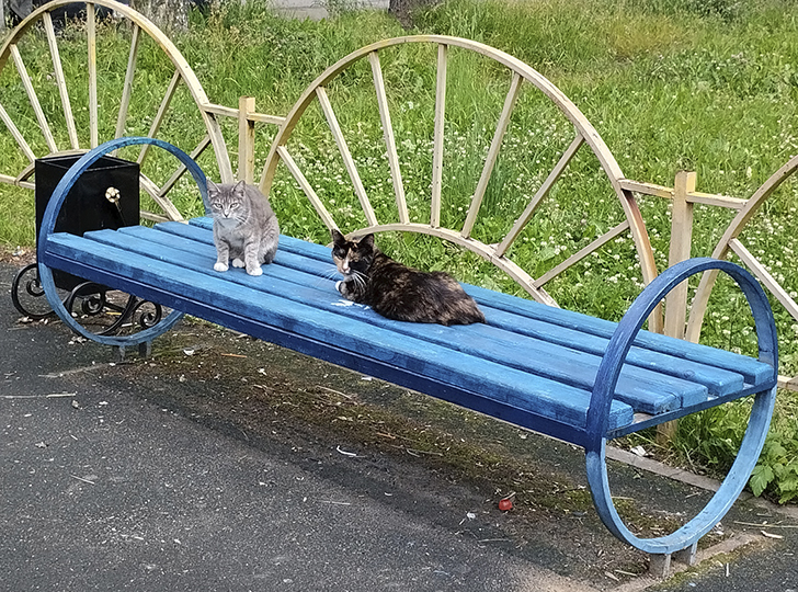 Фото В.Кузьмин (июль, 2025)