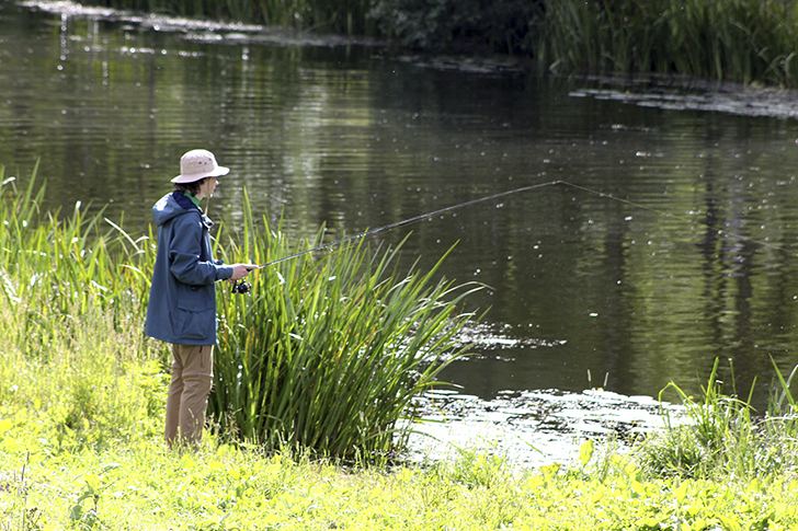Фото В.Кузьмин (июль, 2025)