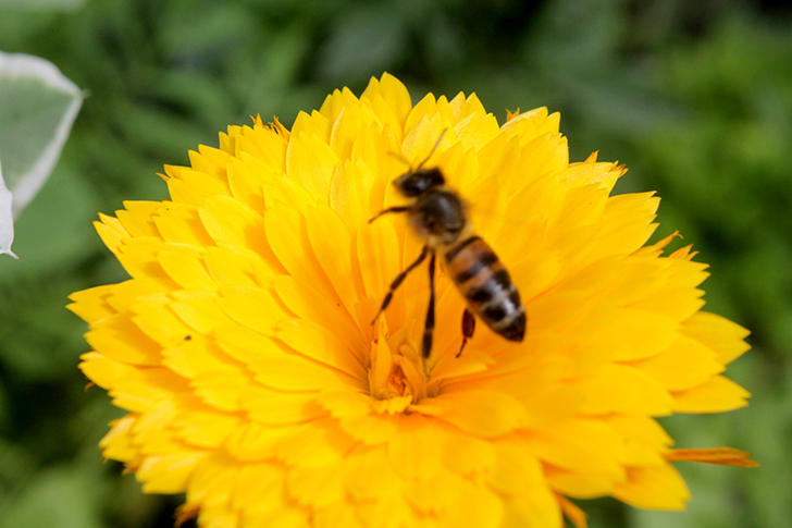 Фото В.Кузьмин (июль, 2025)