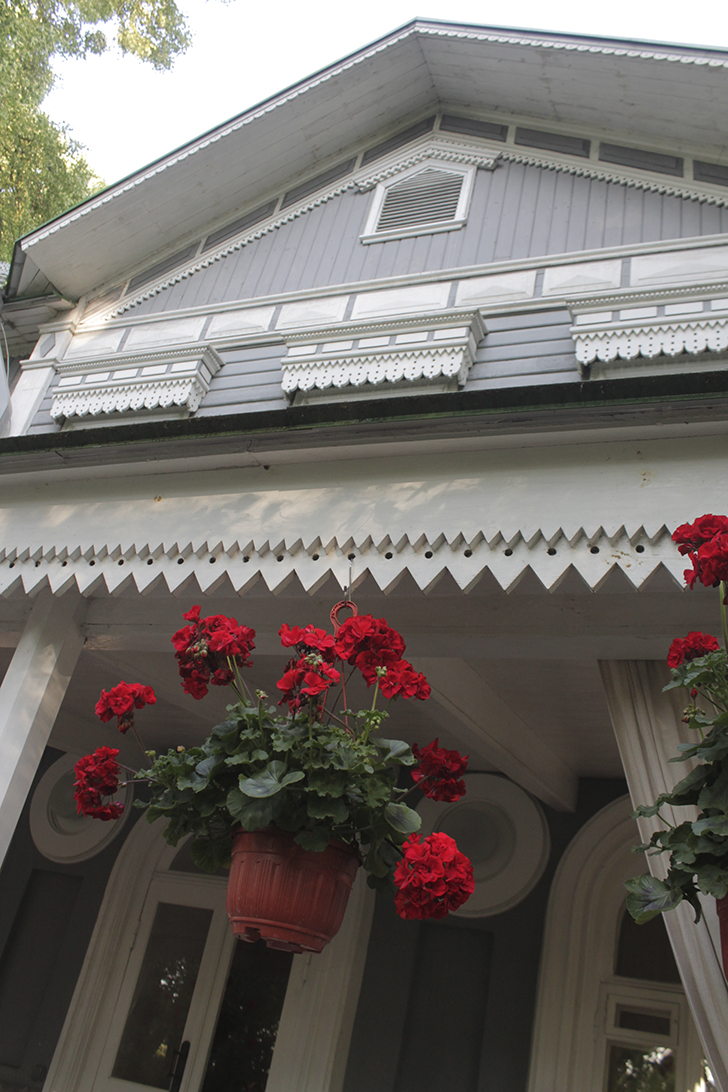 Фото В.Кузьмин (июль, 2025)