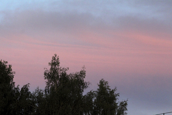 Фото В.Кузьмин (июль, 2025)