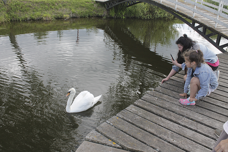 Фото В.Кузьмин (июль, 2025)