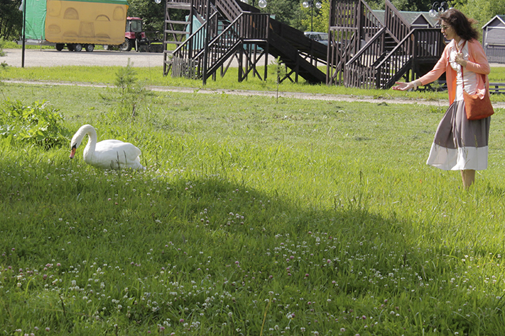Фото В.Кузьмин (июль, 2025)