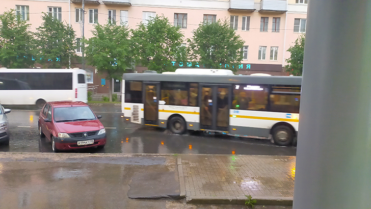 Клин (фото В.Кузьмин, июль, 2025)