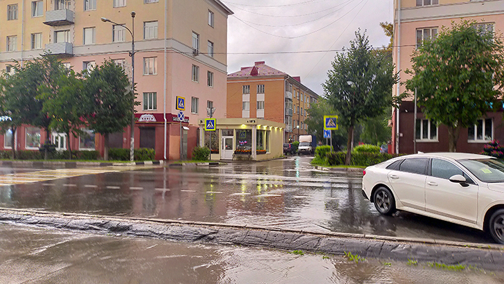 Клин (фото В.Кузьмин, июль, 2025)