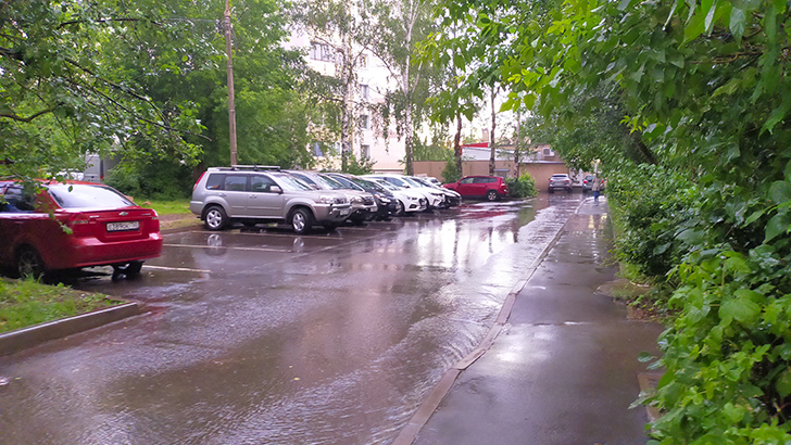 Клин (фото В.Кузьмин, июль, 2025)