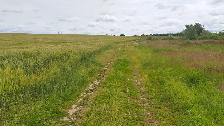 Фото В.Кузьмин (июль, 2025)