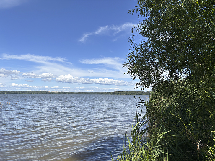 Солнечногорск (фото Олег Д., июль, 2025)