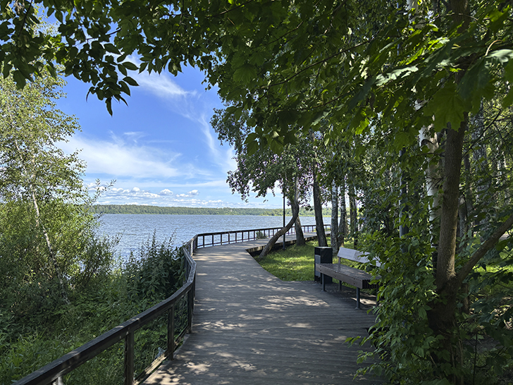 Солнечногорск (фото Олег Д., июль, 2025)