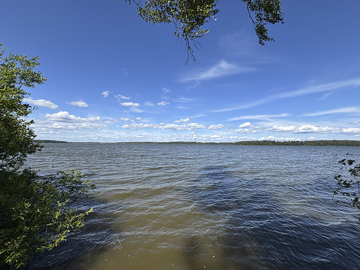 Солнечногорск (фото Олег Д., июль, 2025)