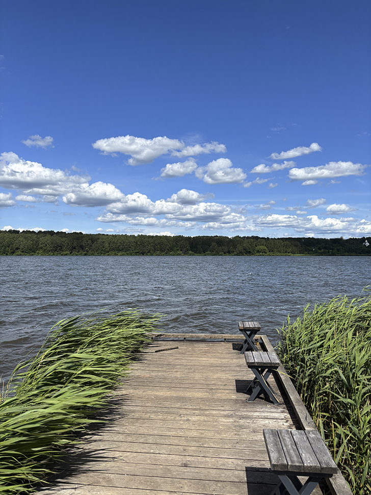 Солнечногорск (фото Олег Д., июль, 2025)