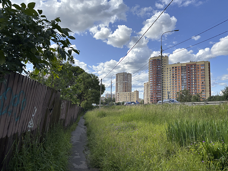 Солнечногорск (фото Олег Д., июль, 2025)