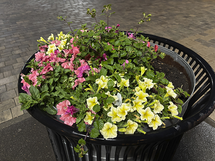 Ночной Клин (фото Олег Д., июль, 2025)