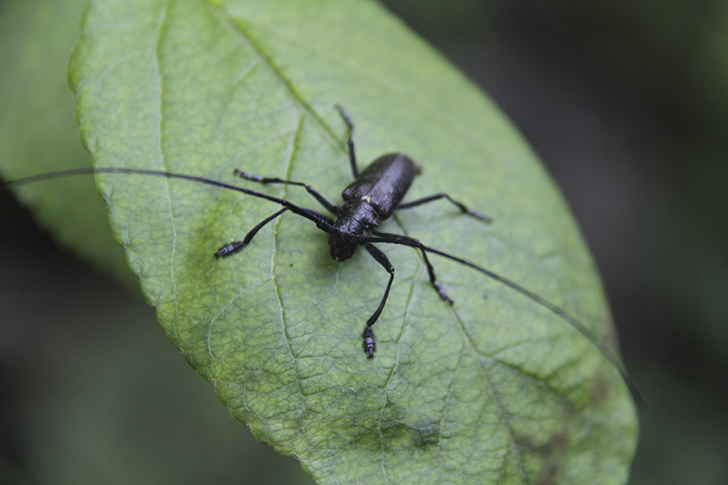 Фото В.Кузьмин (июль, 2025)