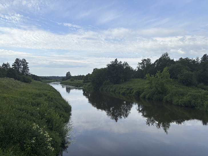 Подвесной пешеходный мост в селе Дулово (фото Олег Д., июль, 2025)