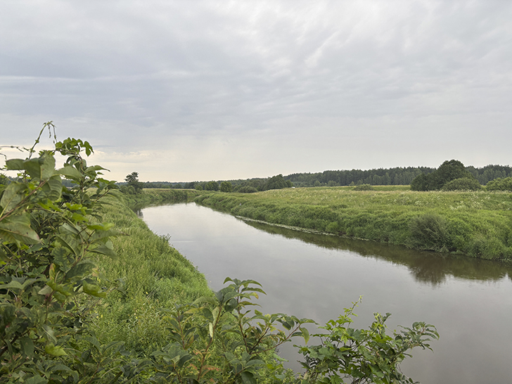 Подвесной пешеходный мост в селе Дулово (фото Олег Д., июль, 2025)