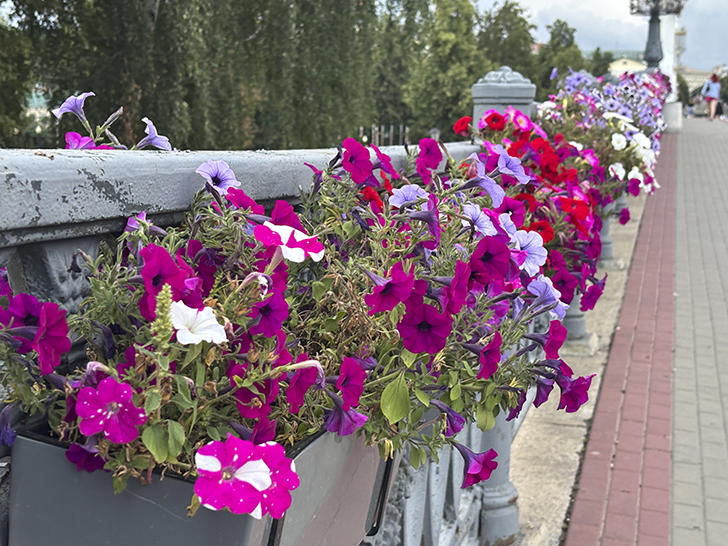 Поездка в Орёл (фото Олег Д., июль, 2025)