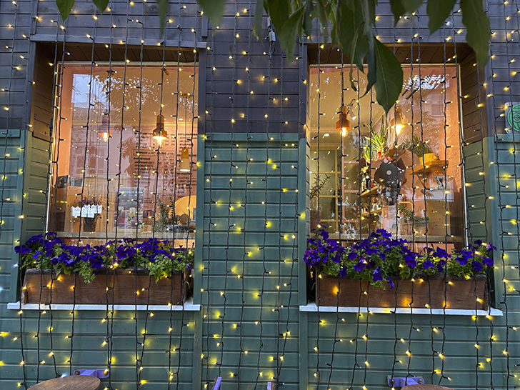 Поездка в Орёл (фото Олег Д., июль, 2025)