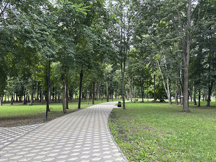 Парк Победы в Орле (фото Олег Д., июль, 2025)