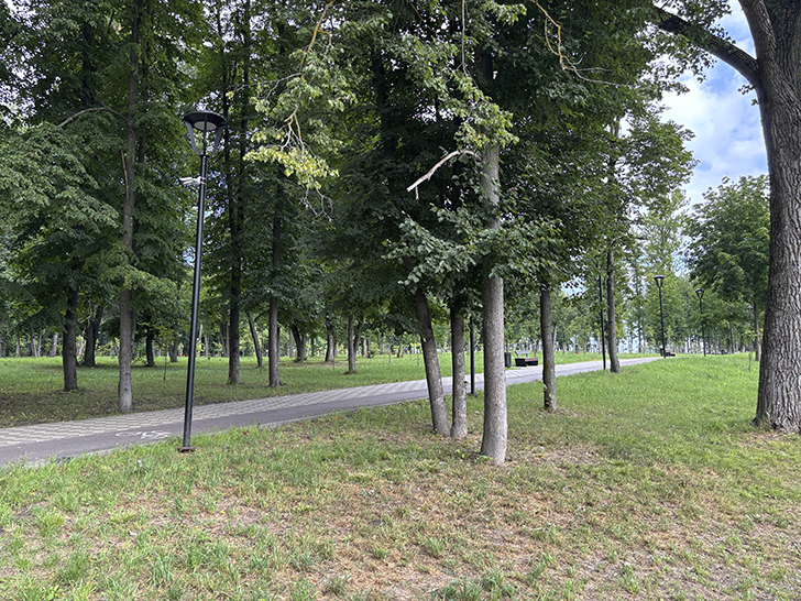 Парк Победы в Орле (фото Олег Д., июль, 2025)