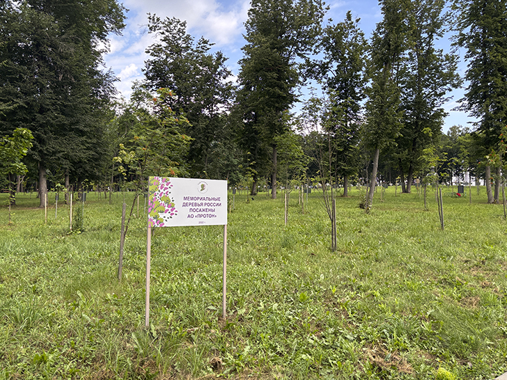 Парк Победы в Орле (фото Олег Д., июль, 2025)