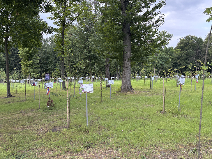 Парк Победы в Орле (фото Олег Д., июль, 2025)