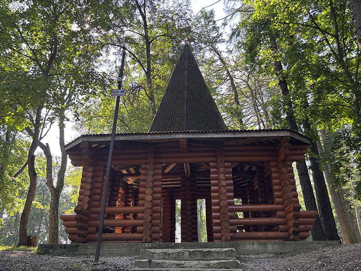 Путешествие в Рузу (фото Олег Д., июль, 2025)