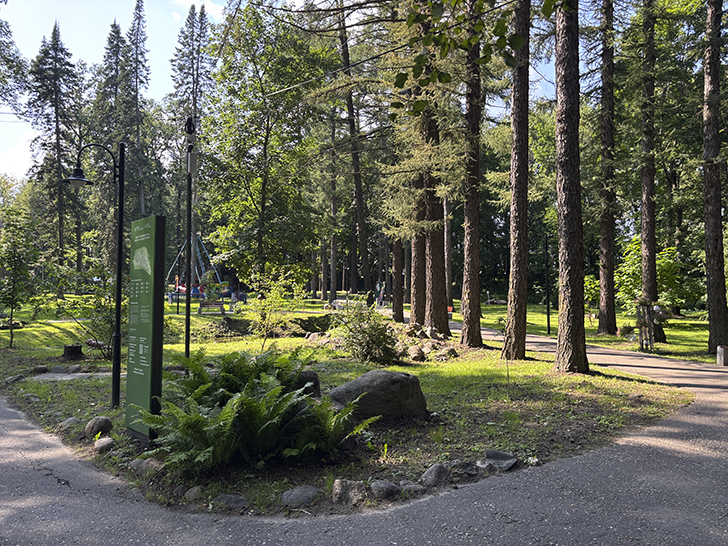 Путешествие в Рузу (фото Олег Д., июль, 2025)