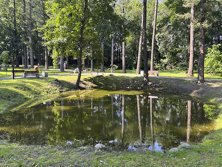 Путешествие в Рузу (фото Олег Д., июль, 2025)