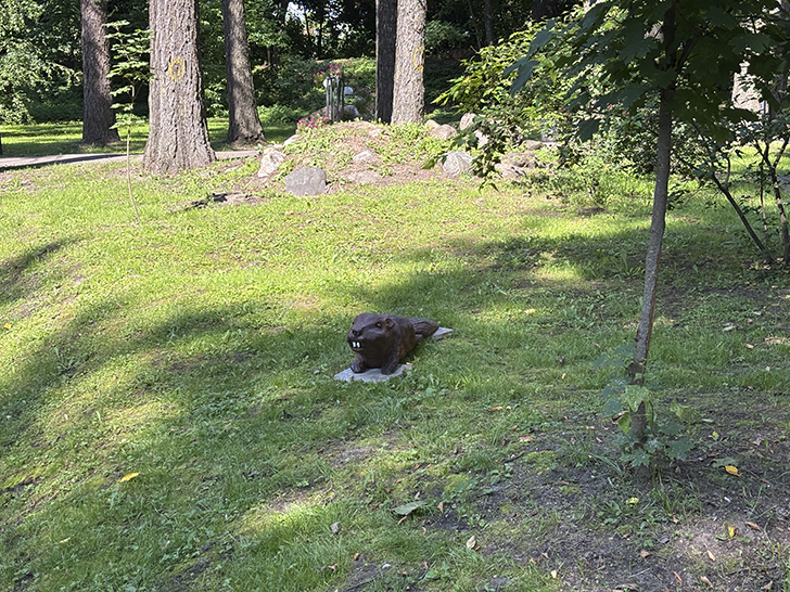 Путешествие в Рузу (фото Олег Д., июль, 2025)