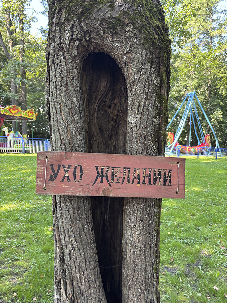 Путешествие в Рузу (фото Олег Д., июль, 2025)