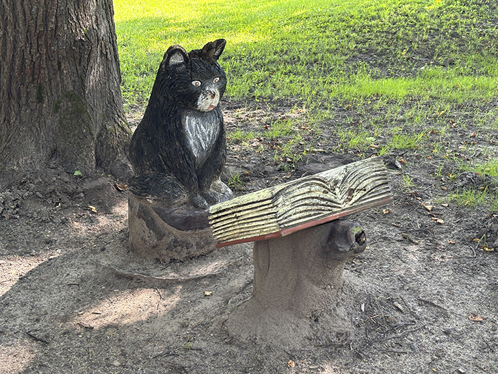 Путешествие в Рузу (фото Олег Д., июль, 2025)