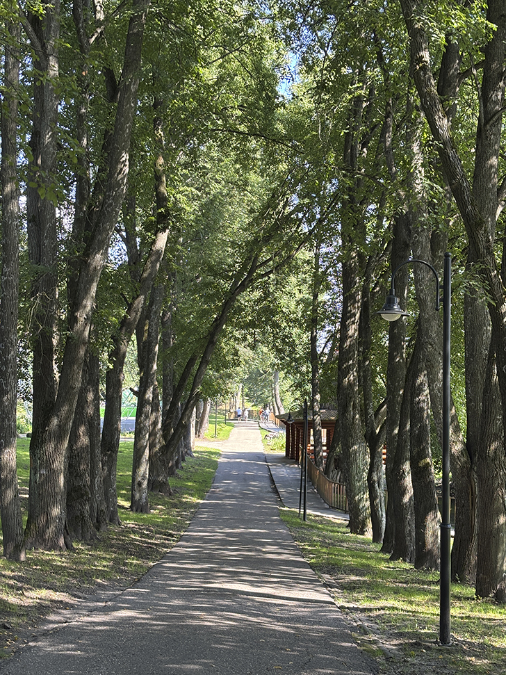 Путешествие в Рузу (фото Олег Д., июль, 2025)