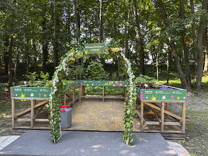 Путешествие в Рузу (фото Олег Д., июль, 2025)