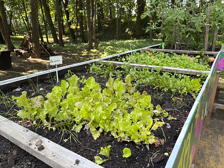 Путешествие в Рузу (фото Олег Д., июль, 2025)