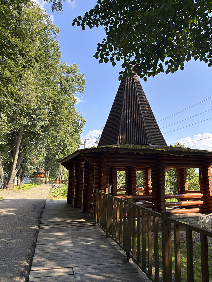 Путешествие в Рузу (фото Олег Д., июль, 2025)