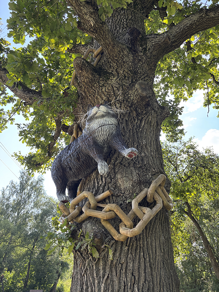 Путешествие в Рузу (фото Олег Д., июль, 2025)