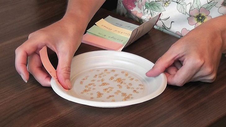 Чистые семена нужно разложить на плоской поверхности и подписать название сорта. Фото автора