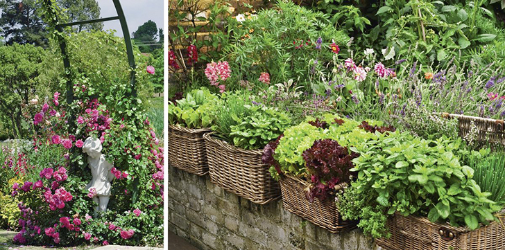 Акценты не только декорируют участок, но и зонируют пространство сада