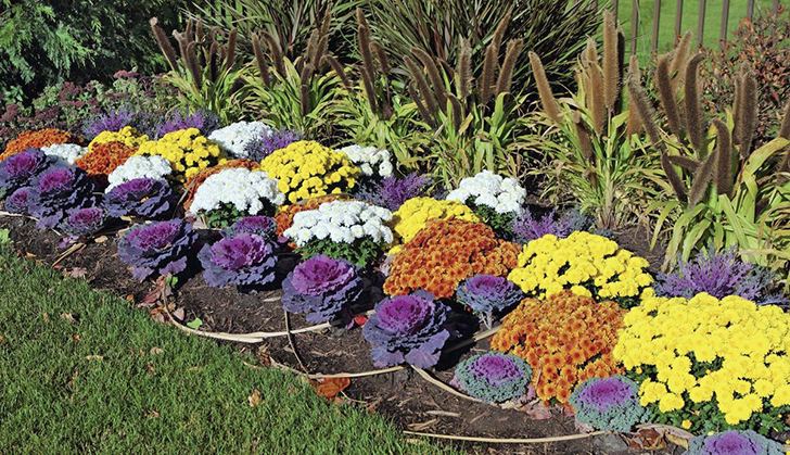 Какими они бывают, стилистические доминанты сада? Самыми разными!