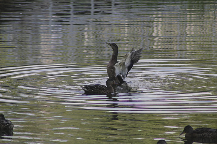 Фото В.Кузьмин