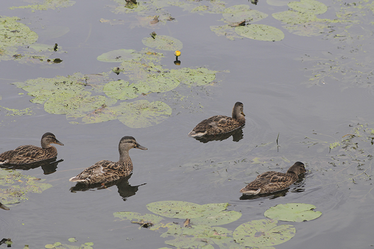 Фото В.Кузьмин