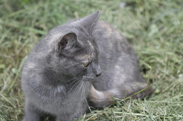 Фото В.Кузьмин
