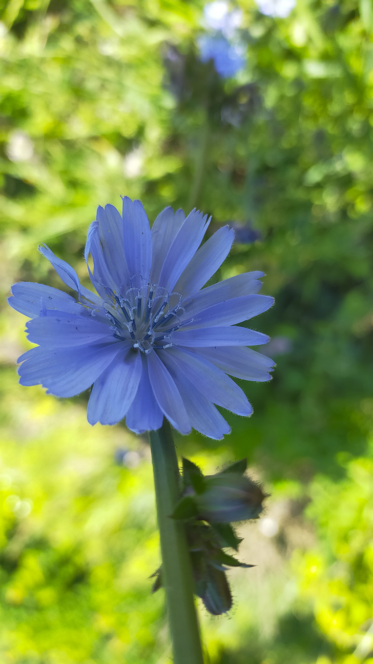 Фото В.Кузьмин