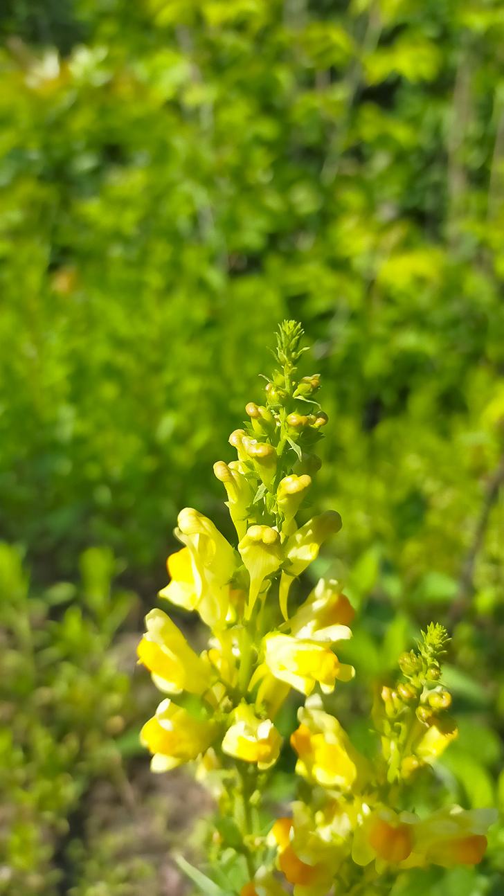 Фото В.Кузьмин