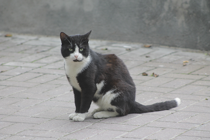 Фото В.Кузьмин