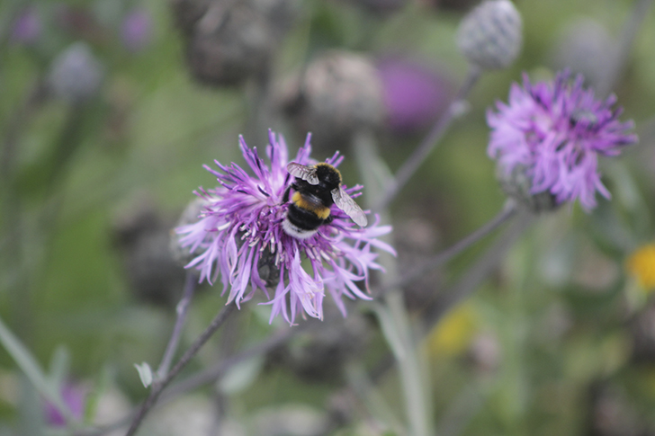 Фото В.Кузьмин
