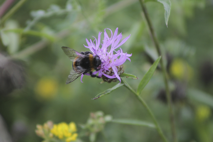 Фото В.Кузьмин