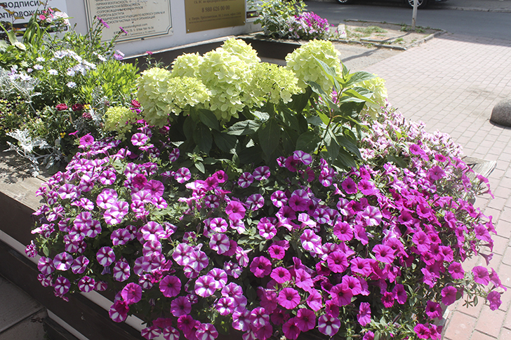 г.Тверь (фото В.Кузьмин, июль, 2025)